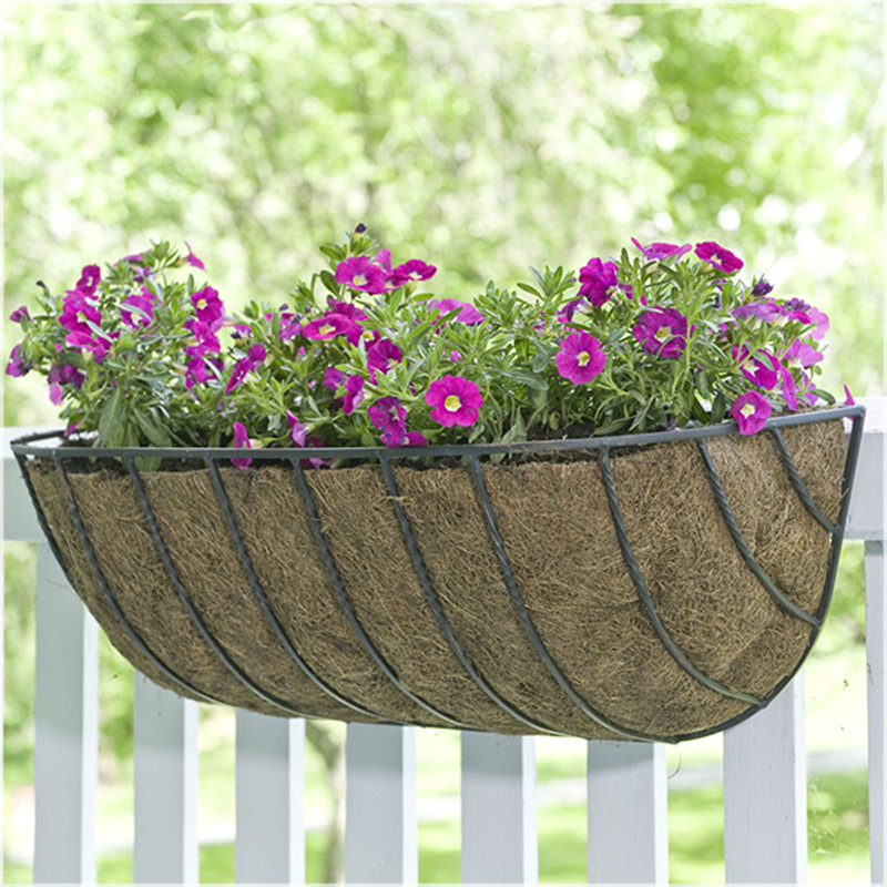 CobraCo Canterbury Horse Trough Steel Rail Planter & Reviews Wayfair